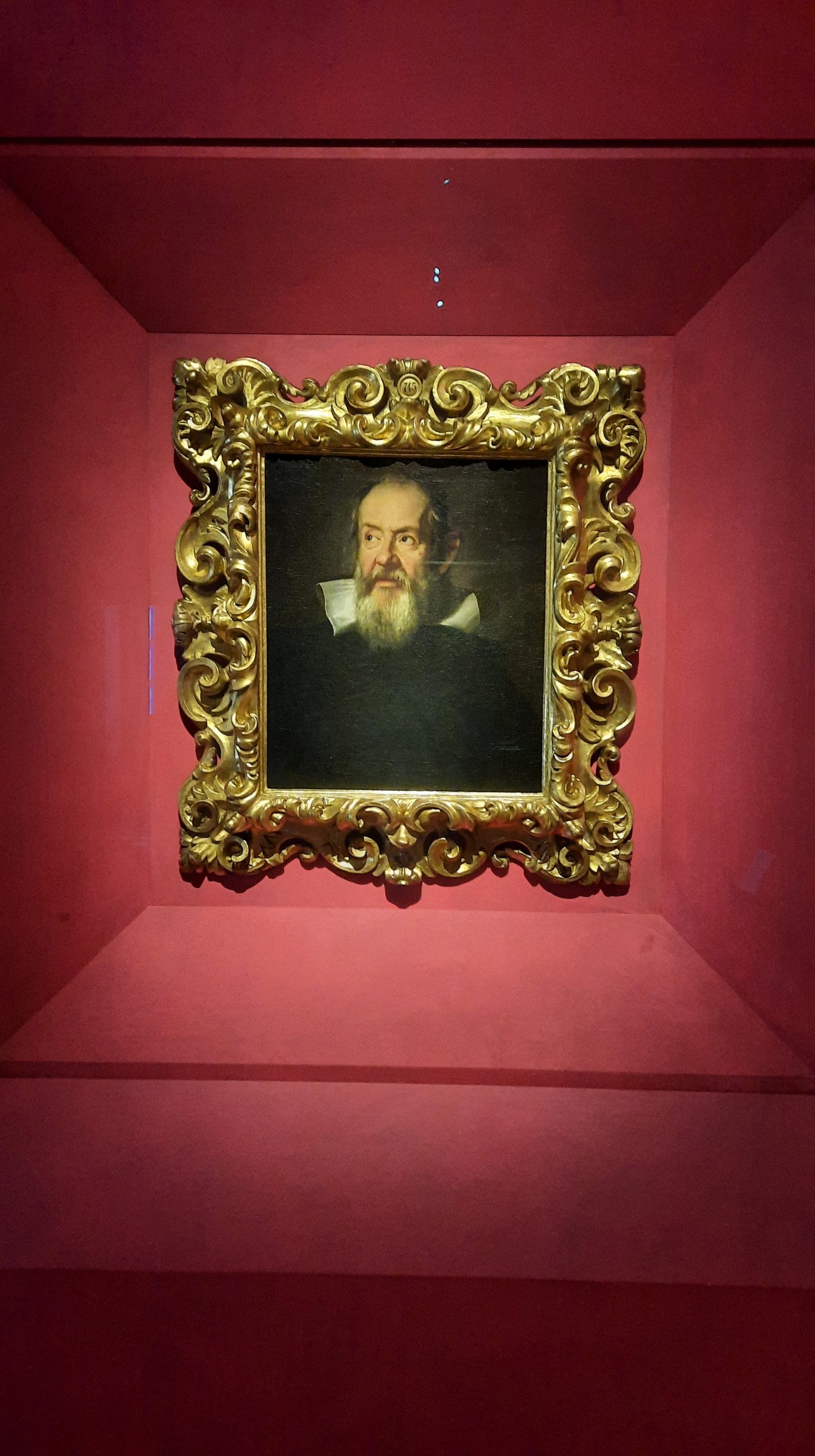 Galileo Galilei’s portrait by Suttermans - 01.jpg